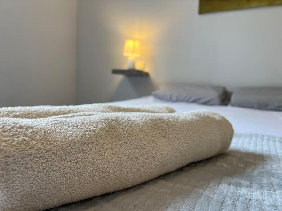 T2 Calme Et Paisible Parking Apartment Carcassone Exterior photo